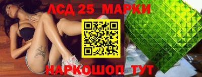молекула духа Кингисепп