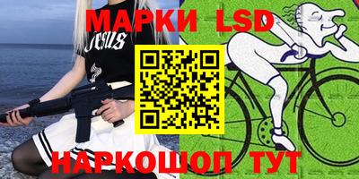 молекула духа Кингисепп