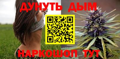 молекула духа Кингисепп