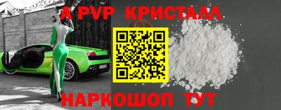 молекула духа Кингисепп