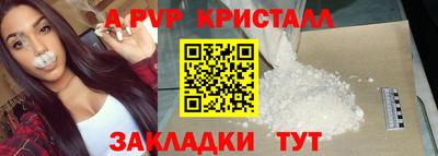 молекула духа Кингисепп