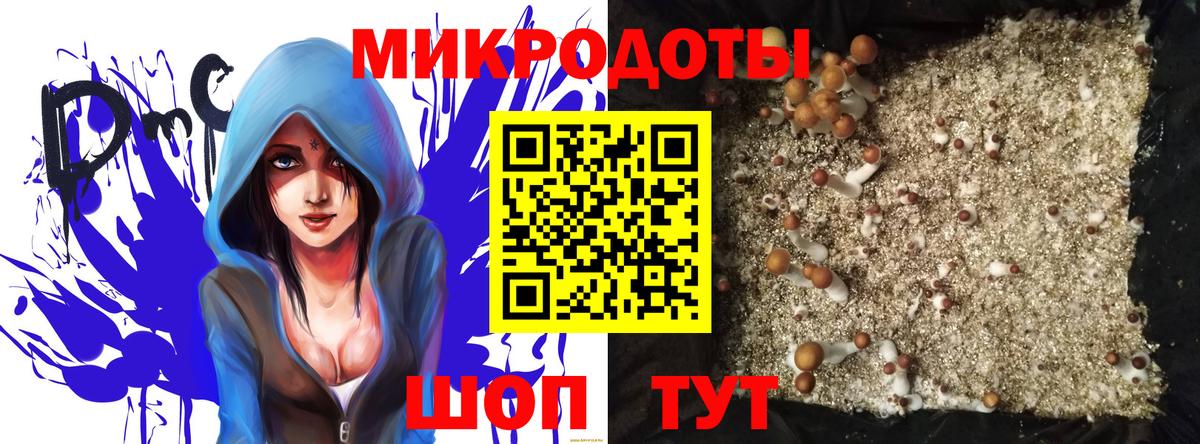 Псилоцибиновые грибы GOLDEN TEACHER  Вход с VPN  Уссурийск 